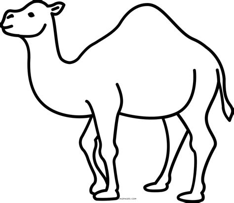 camel outline images|camel clip art outline.